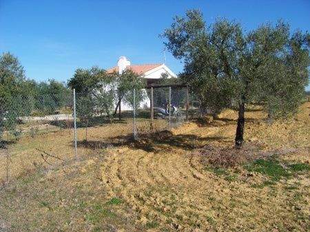 Rociana del Condado Häuser, Rociana del Condado Haus kaufen