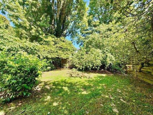 Blick in den Garten