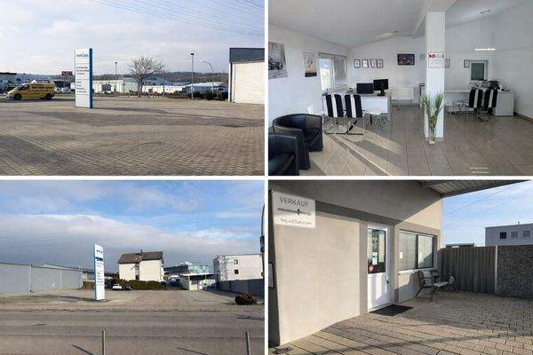 WhatsApp Image 2026-01-31 at 16.04.26.jpeg