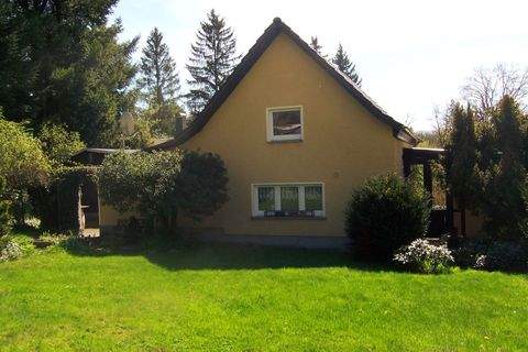 Chemnitz Häuser, Chemnitz Haus kaufen