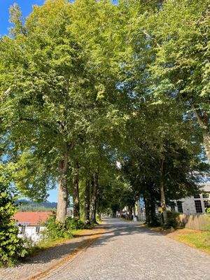 WhatsApp Image 2025-09-12 at 01.56.38.jpeg