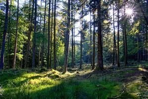 Vechta Grundstücke, Vechta Grundstück kaufen