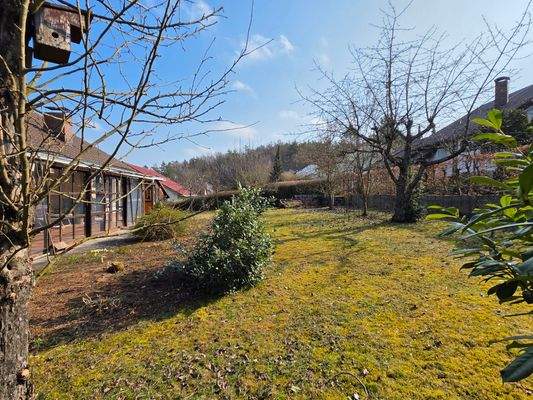 Großer Garten zur Entfaltung