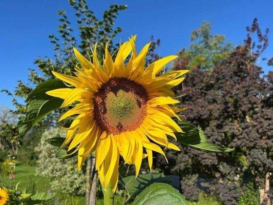 Neues Bauvorhaben in Mattighofen
