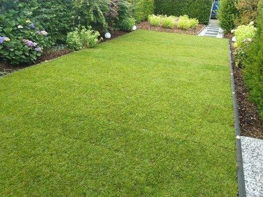 Gartenansicht mit Rasen