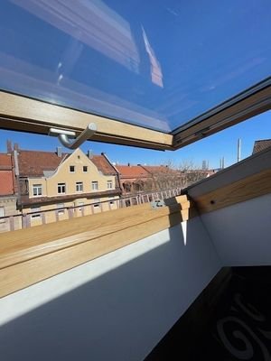 Fenster DG