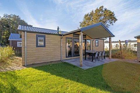 Renesse Häuser, Renesse Haus kaufen