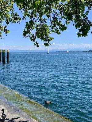 Nur wenige Meter vom See