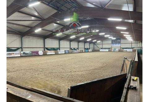 Hesel Bauernhöfe, Landwirtschaft, Hesel Forstwirtschaft