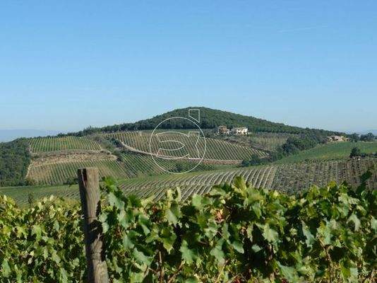 Eindrucksvolle Villa | Montalcino