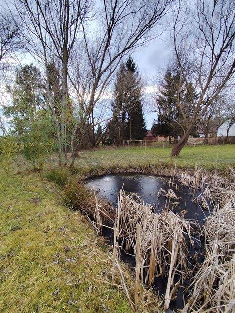 Nagyrákos Häuser, Nagyrákos Haus kaufen
