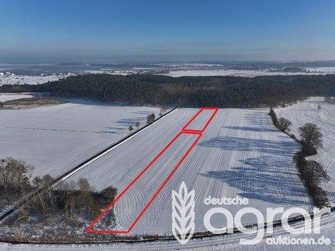 Mellenthin Bauernhöfe, Landwirtschaft, Mellenthin Forstwirtschaft