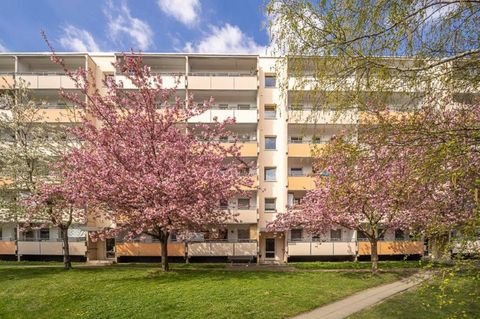 Dresden Wohnungen, Dresden Wohnung mieten