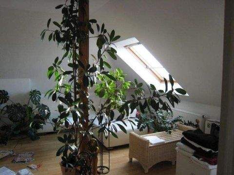 Dresden Wohnungen, Dresden Wohnung kaufen