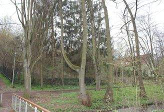 Blick zum Grundstück