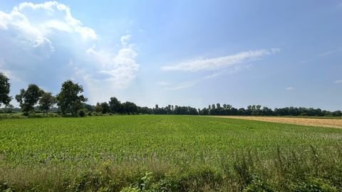 Bad Zwischenahn Bauernhöfe, Landwirtschaft, Bad Zwischenahn Forstwirtschaft