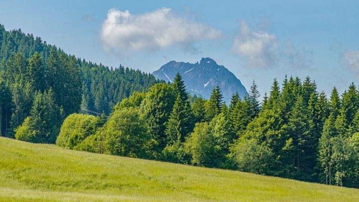 KITZIMMO-Grundstück mit Altbestand in sonniger Ruhelage kaufen - Immobilien Kirchberg.
