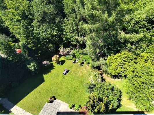 Blick in den Garten