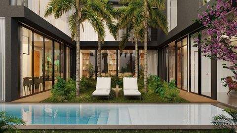 Dalung Häuser, Dalung Haus kaufen