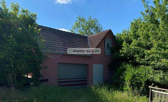 WhatsApp Image 2025-07-16 at 15.11.45