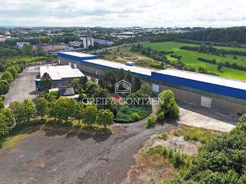 Bitburg Halle, Bitburg Hallenfläche