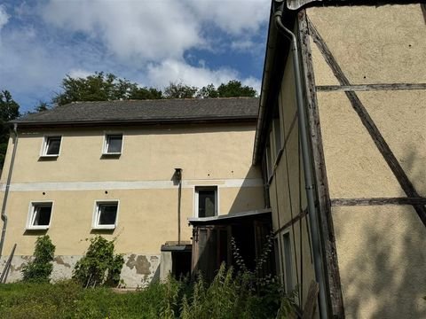 Leisnig Häuser, Leisnig Haus kaufen