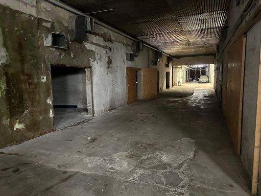 WhatsApp Image 2026-01-16 at 13.19.53.jpeg