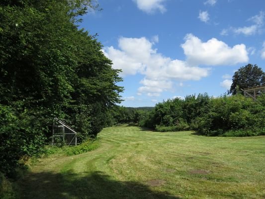 Garten / Potenzielles Baugrundstück