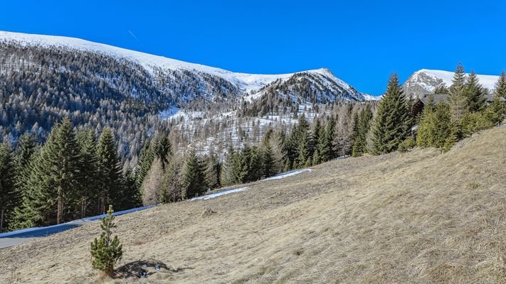 KITZIMMO-exklusives Almchalet 1 in Toplage kaufen - Immobilien Falkertsee Kärnten.
