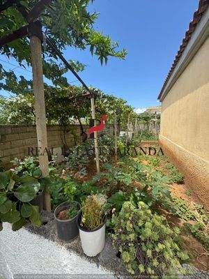 WhatsApp Image 2025-08-05 at 15.15.06 (1).jpeg