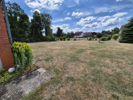 Optionsfläche in Blickrichtung süden