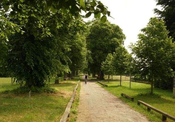 Impressionen aus Krumke -  Allee zum Reiterhof   