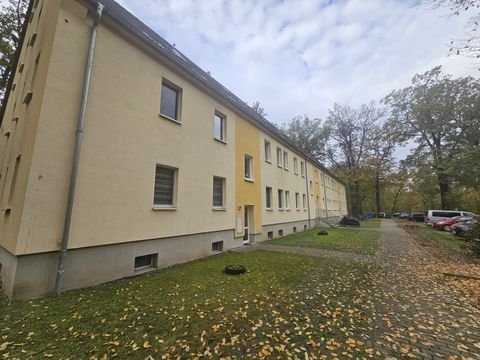 Dessau-Roßlau Wohnungen, Dessau-Roßlau Wohnung mieten