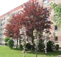 Schulstraße 24-27.jpg
