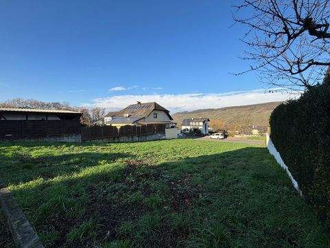 Bernkastel-Kues Grundstücke, Bernkastel-Kues Grundstück kaufen