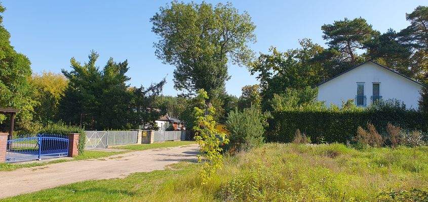 Blick vom Grundstück 