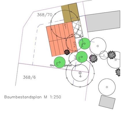 Baumbestandsplan