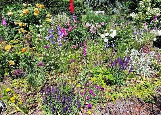 üppige Gartenbepflanzung