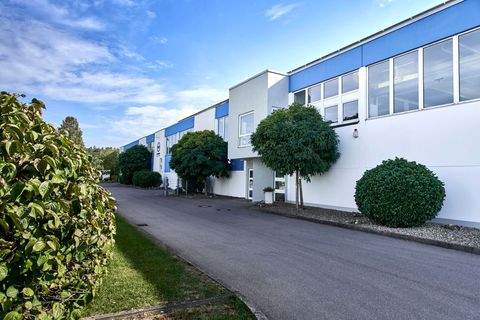 Illertissen Halle, Illertissen Hallenfläche