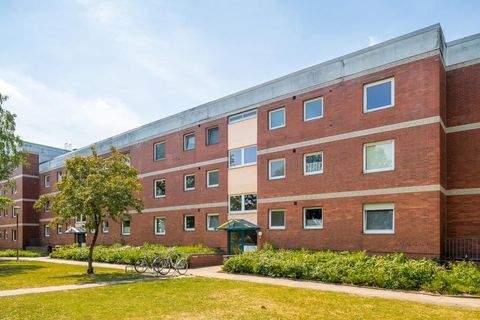 Bremervörde Wohnungen, Bremervörde Wohnung mieten