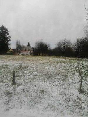 404510442_890208722728760_7646517228503693543_n.jp