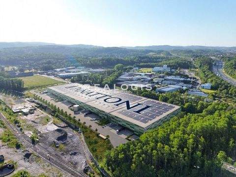 Hagen Halle, Hagen Hallenfläche