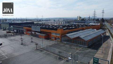 Kulmbach Halle, Kulmbach Hallenfläche