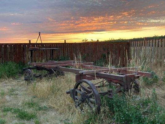 Heuwagen im eigenen Garten