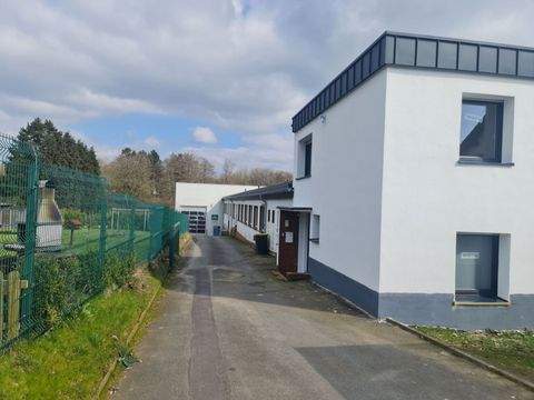 Halver Halle, Halver Hallenfläche