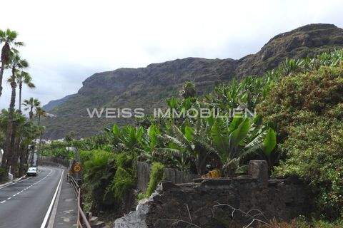 Teneriffa Grundstücke, Teneriffa Grundstück kaufen