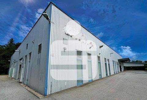 Thyrnau Halle, Thyrnau Hallenfläche