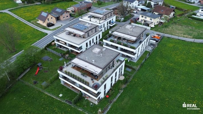Bild 37