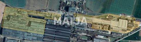 Roman Büros, Büroräume, Büroflächen 