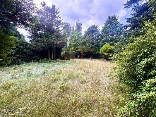 Grundstücksansicht aus Osten